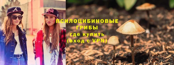 метадон Армянск